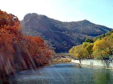 新澳天天开奖资料大全旅游团，济青高速路况